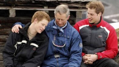 King Charles and Prince William Meeting Regarding Prince Harry