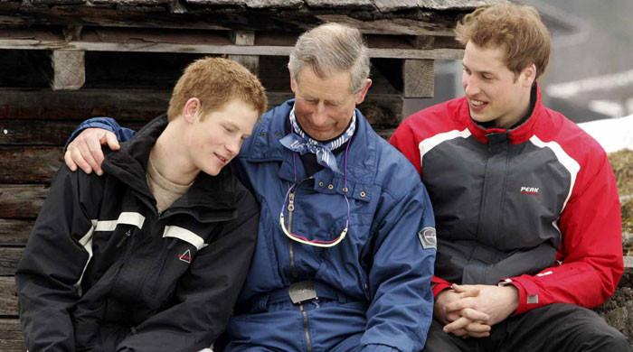King Charles and Prince William Meeting Regarding Prince Harry