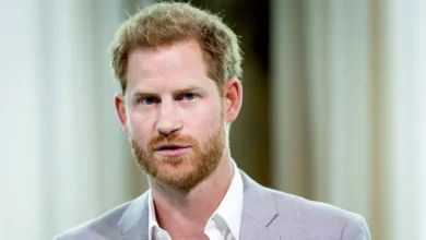 Prince Harry Seeks 'Permanent Part-Time Working' Royal Status