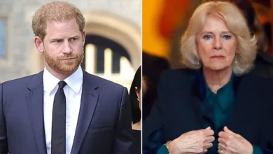 Queen Camilla 'Furious' Over Prince Harry's Unapproved Visit to UK