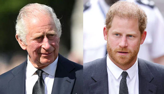 King Charles Rejects Prince Harry's Offer to Assist