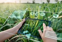AI in Agriculture
