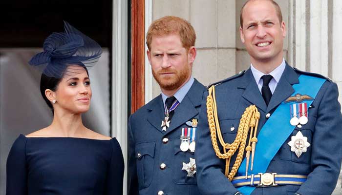 Meghan Markle Accused of Driving Wedge Between Princes Harry and William