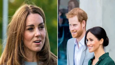 Prince Harry and Meghan Markle Advised to Maintain Silence