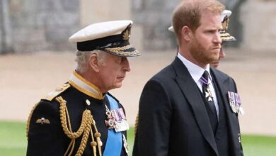 Prince Harry Meeting with Father King Charles