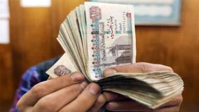 Egypt pound freefall