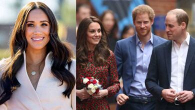Meghan Markle Urges Prince Harry to Reconnect with Prince William