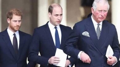 King Charles and Prince William Hold Secret Meeting