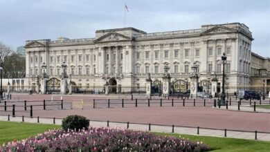 Buckingham Palace Issues Major Update Amid Kate Middleton's Cancer Battle