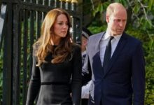 Prince William Returns to Duties Following Kate's Cancer Diagnosis