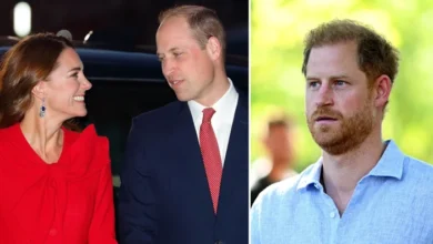 Prince Harry Reunion With Kate Middleton and Prince William