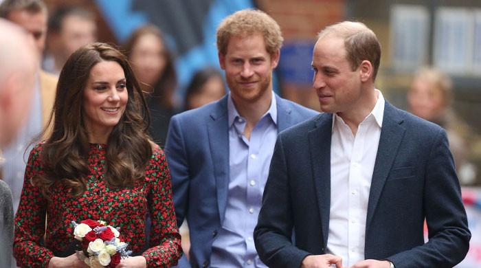 Prince William and Kate Middleton May Decline Meeting with Prince Harry