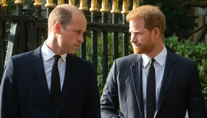 Prince William's Makes Major Decision about Prince Harry's