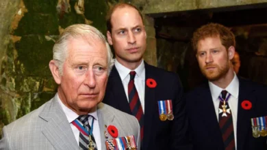 Prince Harry Receives Warning Ahead of UK Visit