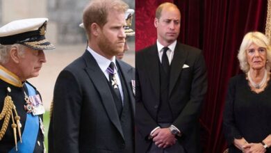 Queen Camilla and Prince William's Influence on King Charles's Decision Regarding Prince Harry Meeting