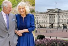 Buckingham Palace Issues Significant Statement