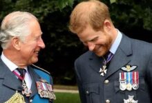 King Charles and Prince Harry