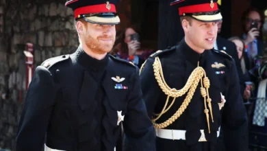 Prince Harry Faces Fresh Setback from Royal Family