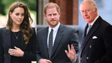Kate Middleton's Meeting with Prince Harry Hinges on King Charles's Decision