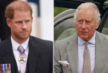 King Charles Plans Olive Branch to Prince Harry
