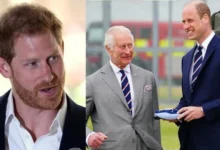 King Charles Takes Bold Move to Cut "Last Few Ties" with Prince Harry