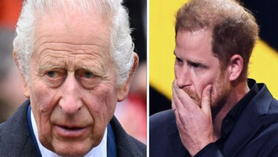 King Charles Sends Firm Warning to His Son Prince Harry