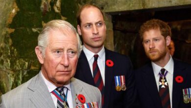 King Charles Faces Criticism for Lack of Support Towards Prince Harry