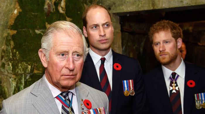 King Charles Faces Criticism for Lack of Support Towards Prince Harry