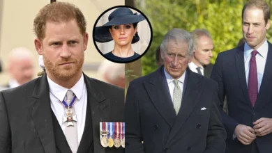Prince Harry Seeks Reconciliation with Royal Family