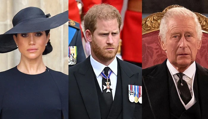 Prince Harry disagreed with King Charles take on Meghan