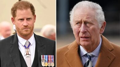 Prince Harry Plans Shocking Reunion Move with King Charles