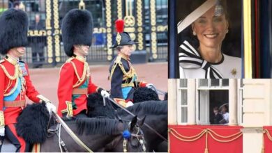 Prince William Displays Horseback Skills as Kate Middleton Appears on balcony