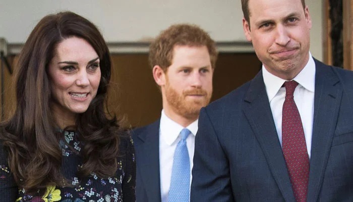 Prince William Stands Firm Against Prince Harry's Attempts to Contact Kate Middleton