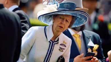 Princess Anne Sparks New Frenzy in the U.K.