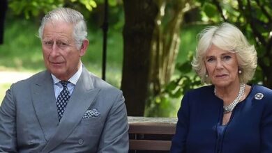 King Charles and Queen Camilla Encounter Security Scare During Channel Islands Tour