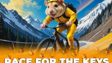 Hamster Kombat Bike Ride 3D Keys