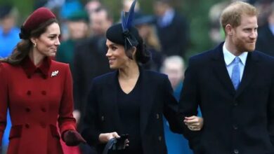 Prince Harry and Meghan Markle Stoke Royal Concern with Reported Netflix Revival