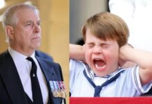 Prince Louis Could Inherit Prince Andrew's Title in the Future