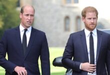 Prince William Puts Full Ban on Harry from Royal Family Engagements