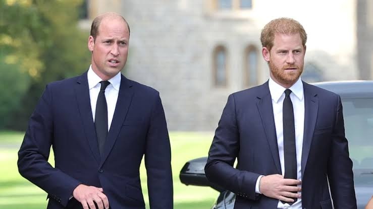 Prince William Puts Full Ban on Harry from Royal Family Engagements