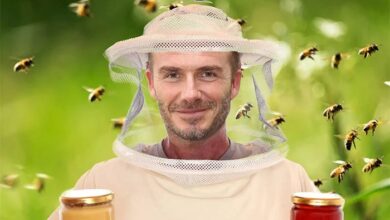 David Beckham's Beehive Controversy