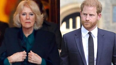 Prince Harry Inspires ‘Wicked Stepmother' Queen Camilla to Make Major Decision