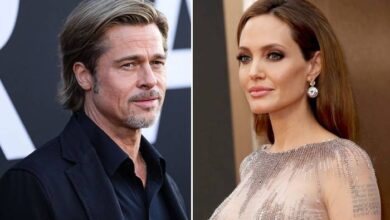 Brad Pitt Drops New Bombshell Claims Against Angelina Jolie in Vineyard Dispute