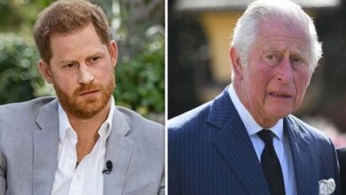 Prince Harry Makes a Major Announcement Amid King Charles's Olive Branch Plans