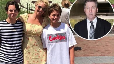 Britney Spears' Sons Plan Shocking Reunion with Estranged Grandfather Jamie