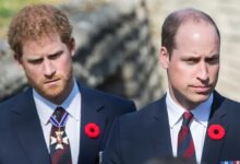 Prince William 'Calls Prince Harry's Bluff' By Ignoring Demands For Apology