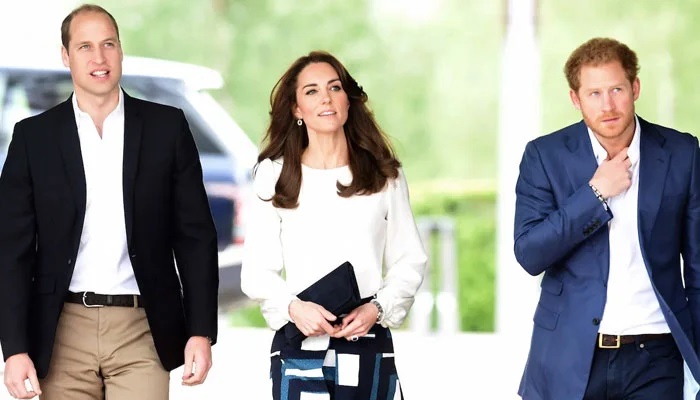 Prince William and Kate Middleton's SHOCKING Reaction to Prince Harry's Apology Demand