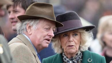 Queen Camilla and Ex-Husband Andrew Parker Bowles Reignite Old Flames