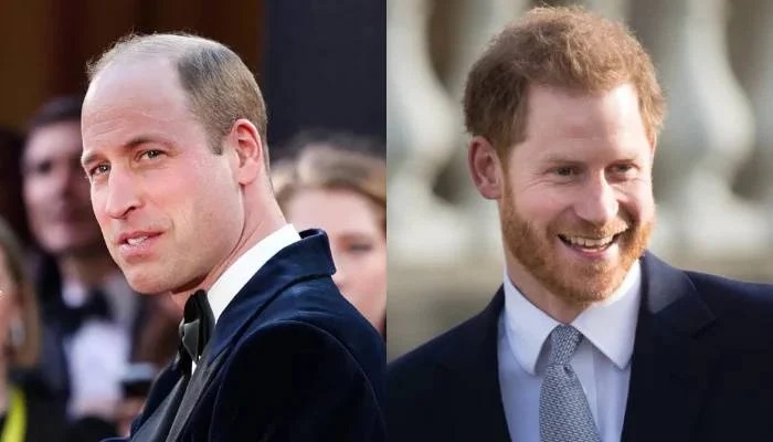 Prince Harry Mistaken for Prince William in Awkward Encounter