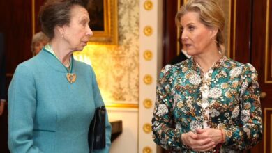 Duchess Sophie Set to Steal 'Hardest Working Royal' Crown from Princess Anne